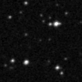 2019qlf_image