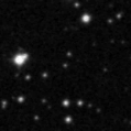 2019qli_image
