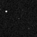 2019qln_image