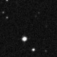 2019qlo_image
