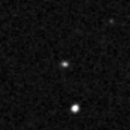 2019qlu_image