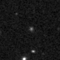 2019qlz_image