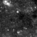 2019qml_image