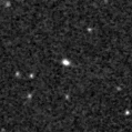 2019qmt_image