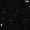 2019qna_image