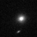 2019qnj_image