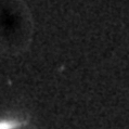2019qnn_image
