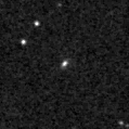 2019qno_image
