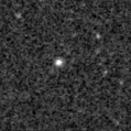 2019qnq_image