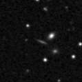 2019qns_image