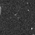 2019qov_image