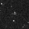 2019qpl_image