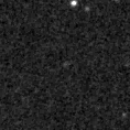 2019qqv_image