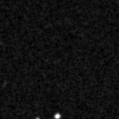 2019qtb_image