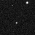 2019qtn_image