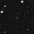 2019qua_image