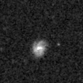 2019quv_image