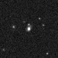2019qwp_image
