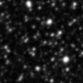 2019qxz_image