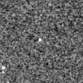 2019qyz_image