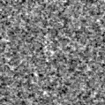 2019qzk_image