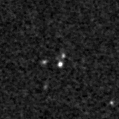 2019raj_image