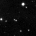 2019rat_image