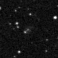 2019raz_image