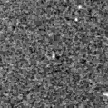 2019rbn_image