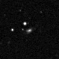 2019rbq_image
