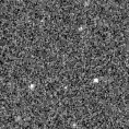 2019rcf_image