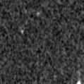 2019rci_image