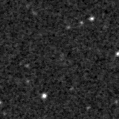 2019rcj_image