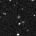 2019rcp_image