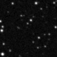 2019rdl_image