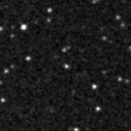 2019rdr_image