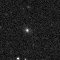 2019rdz_image