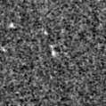 2019rei_image