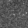 2019rej_image