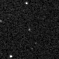2019rel_image