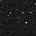 2019rfg_image