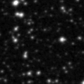 2019rfj_image