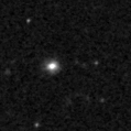 2019rfv_image