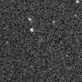2019rfx_image