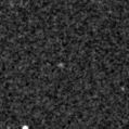 2019rgi_image