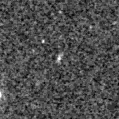 2019rgl_image