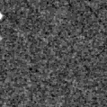 2019rhq_image