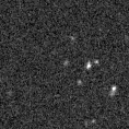 2019rjw_image
