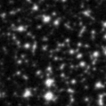 2019rkw_image