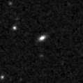 2019rlc_image